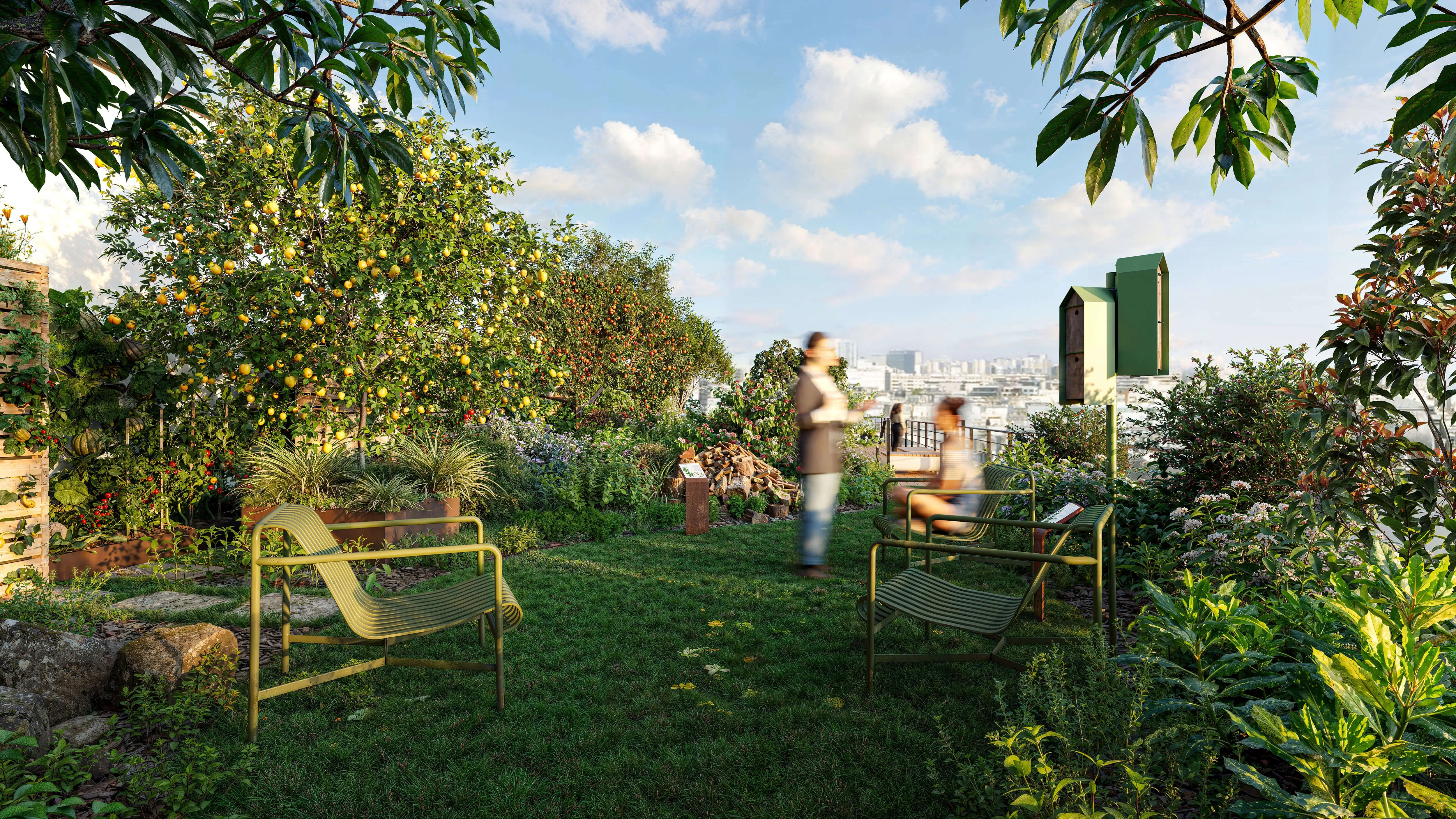 Rooftop Zone Potager